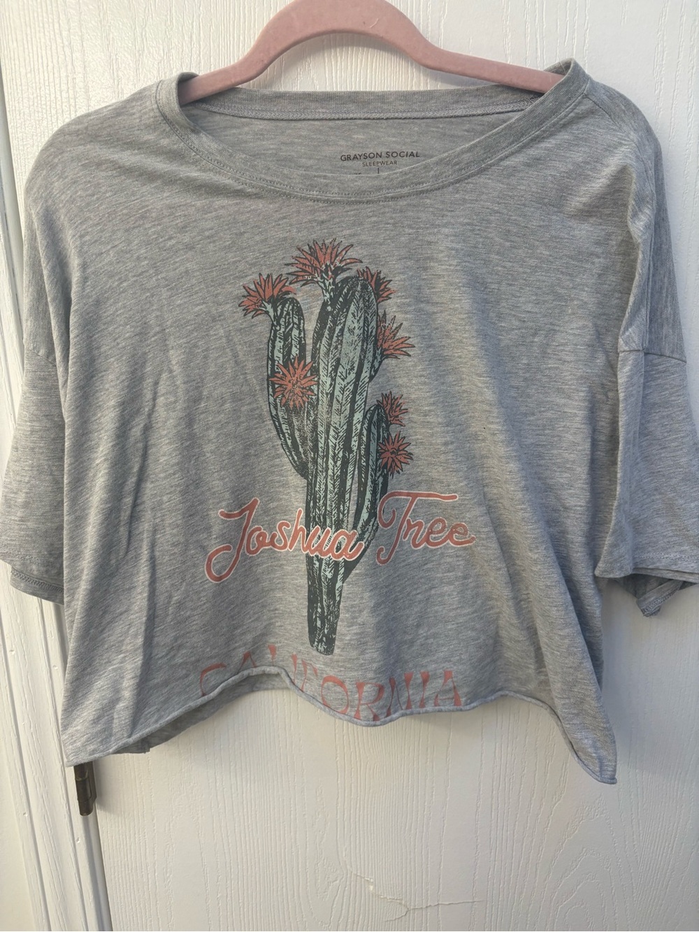 Grayson Social Joshua Tree Gray Graphic Crop Top